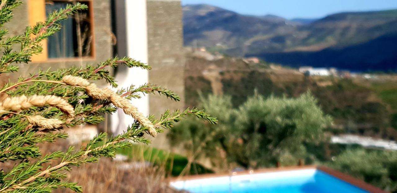 לינה וארוחת בוקר Sao Cristovao do Douro Casa Do Arco By Douro Exclusive מראה חיצוני תמונה
